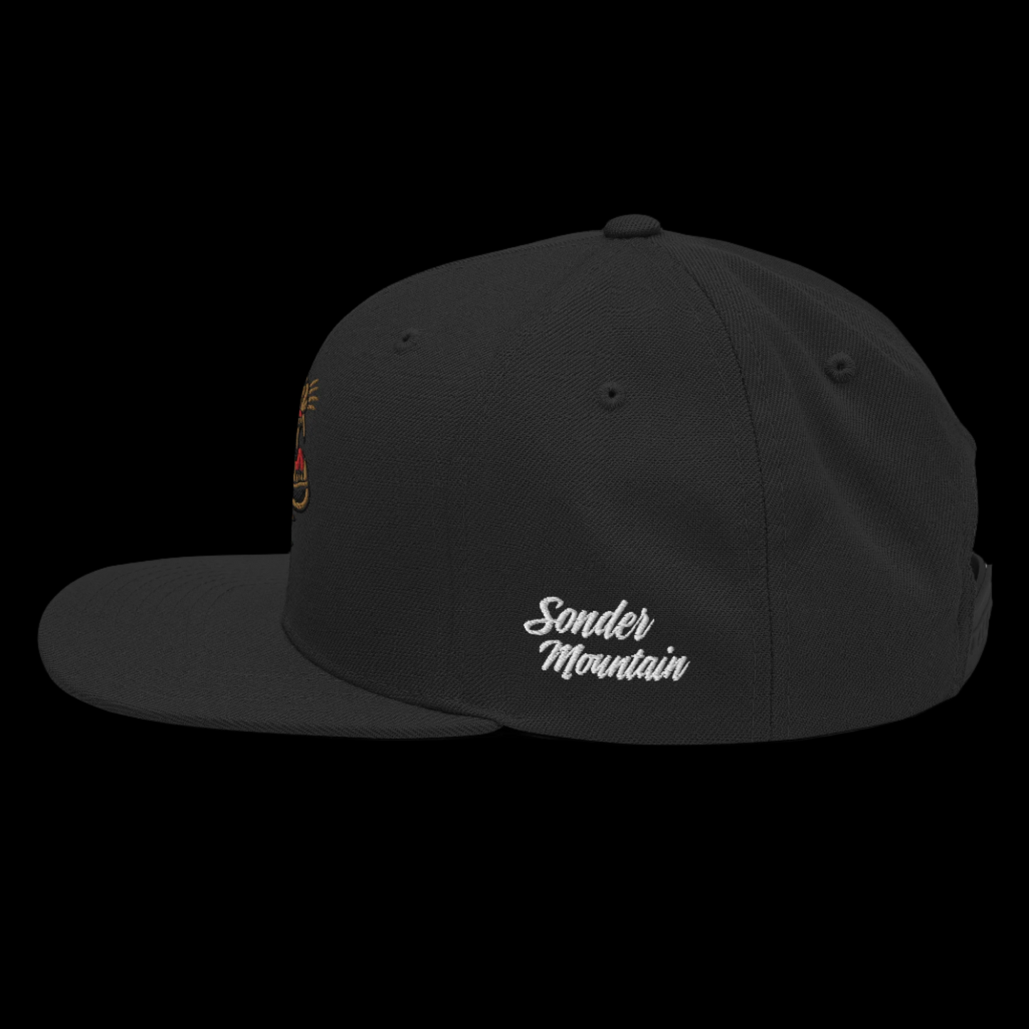 The Beast - Snapback Hat