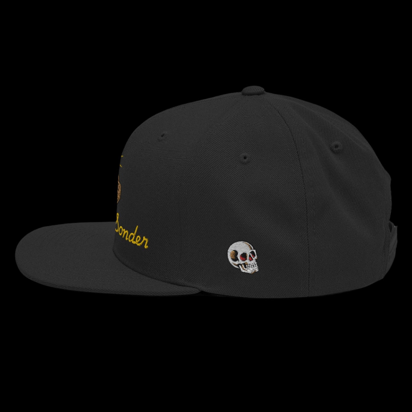 The Conscious - Snapback Hat