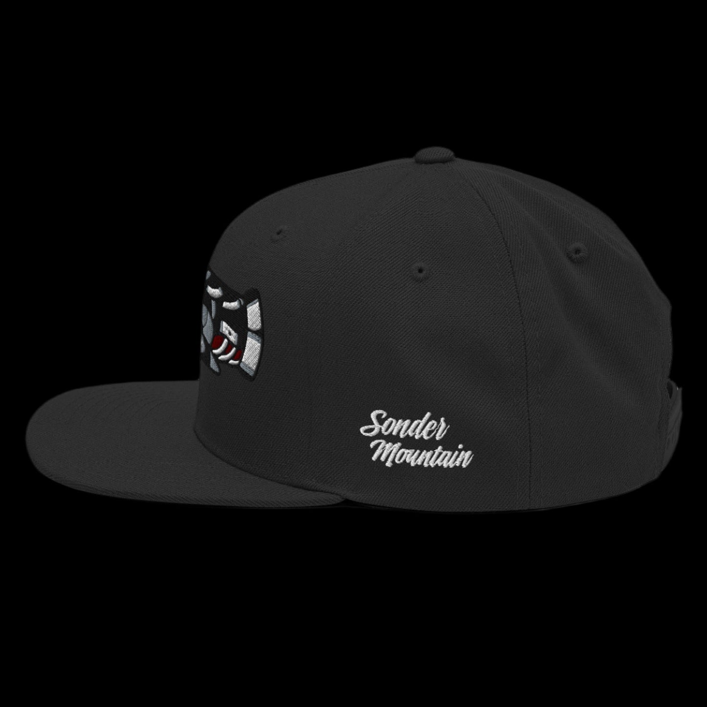 The Betrayal - Snapback Hat