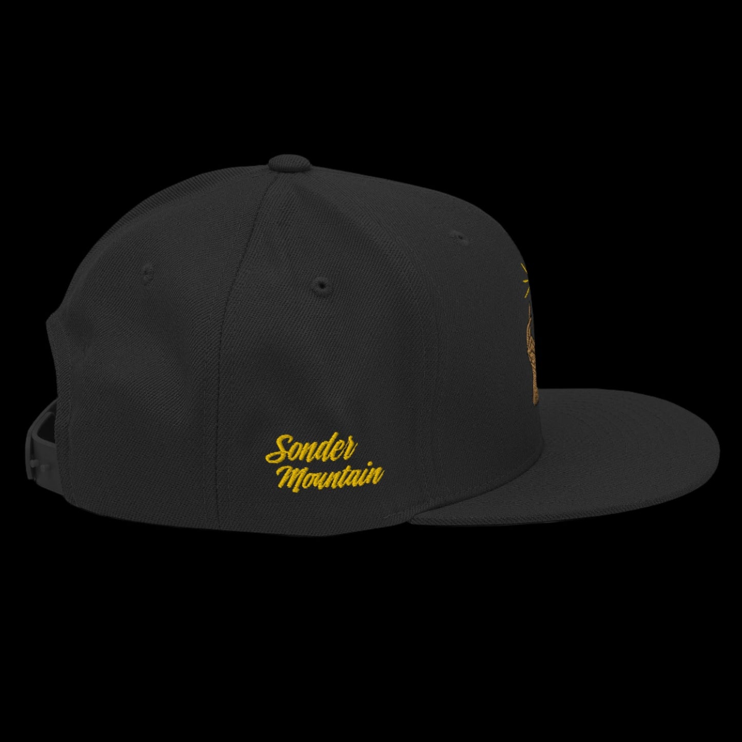 The Conscious - Snapback Hat