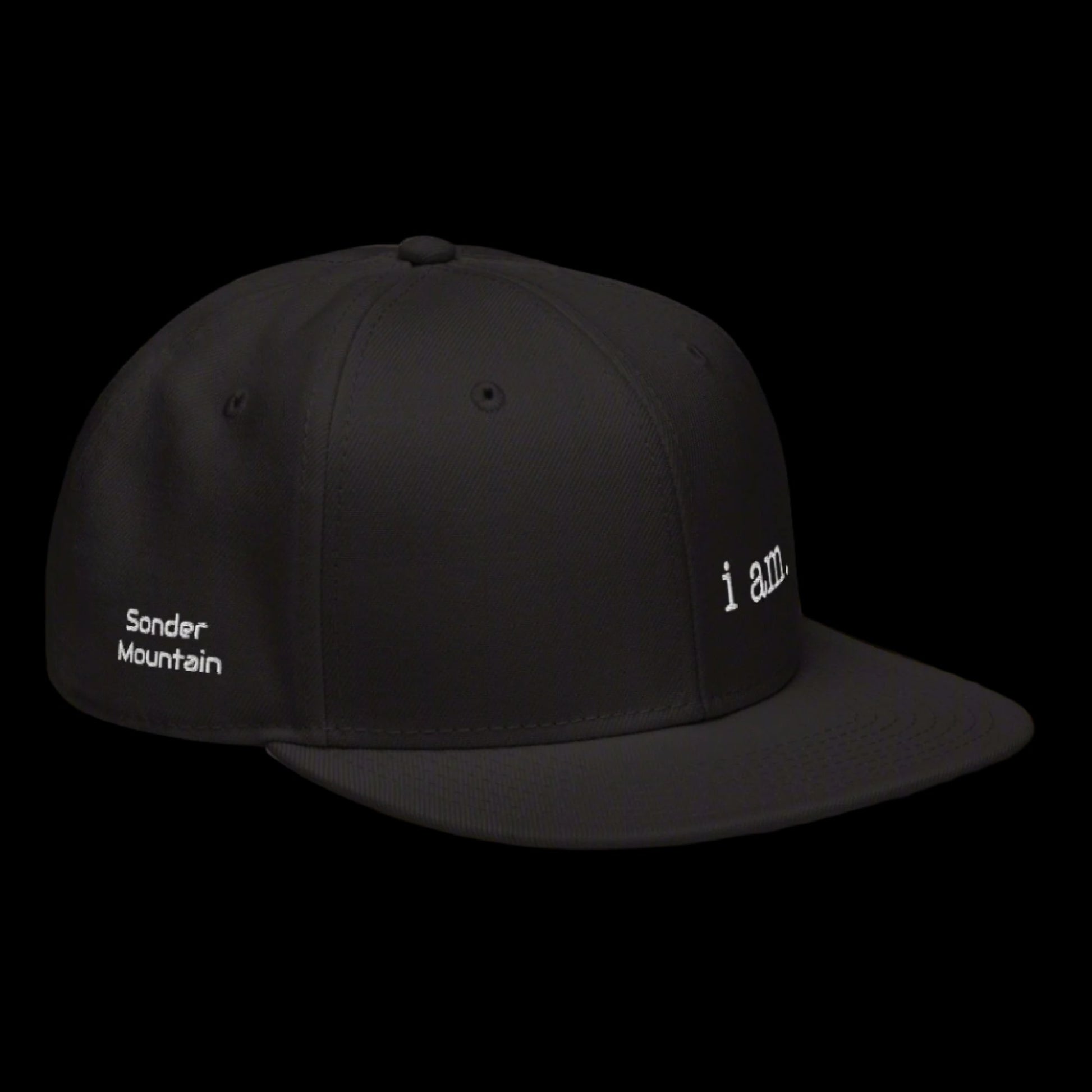 I am. - Snapback Hat